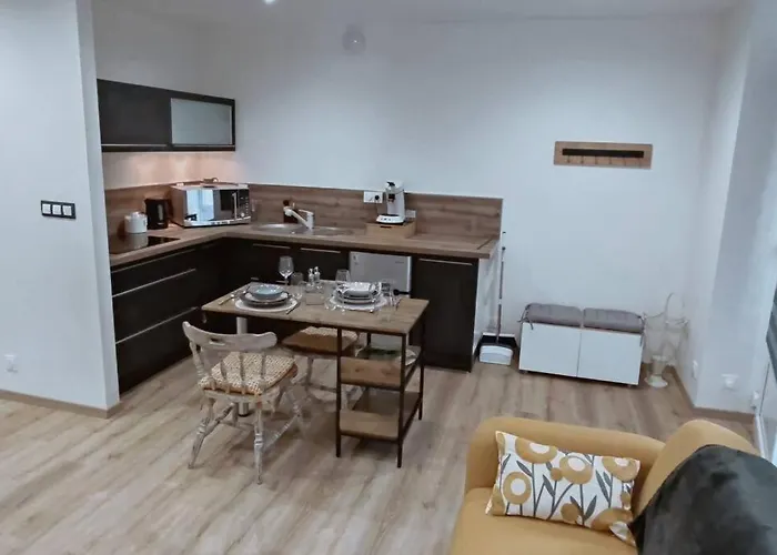 Tout Confort. Appartement 2 Pers. Centre-Ville